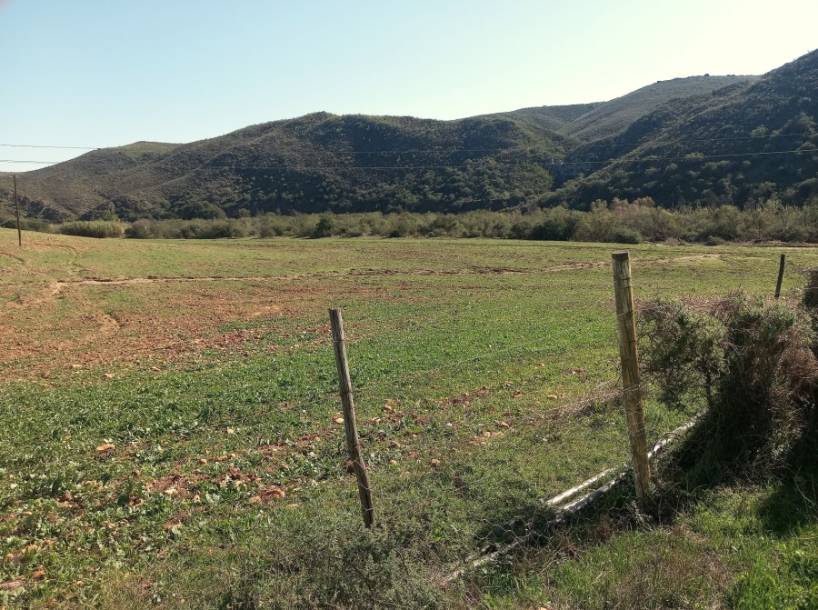 Commercial Property for Sale in George Rural Western Cape